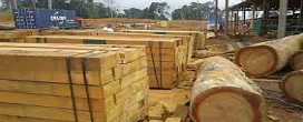 Importaes de madeira tropical serrada dos EUA aumentam 13 por cento